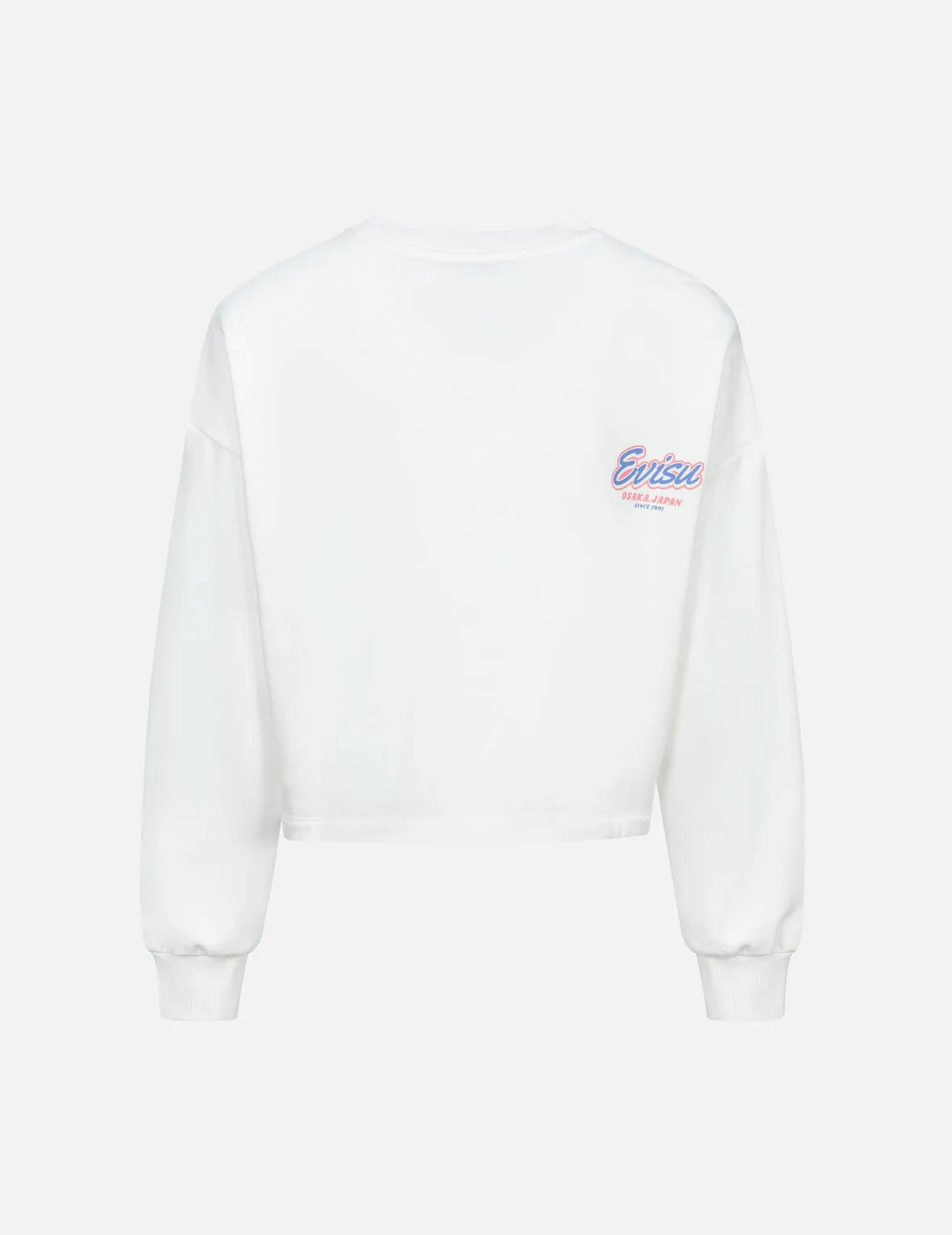 Fortune Cat Appliqué with Daruma Seagull Cropped Sweatshirt