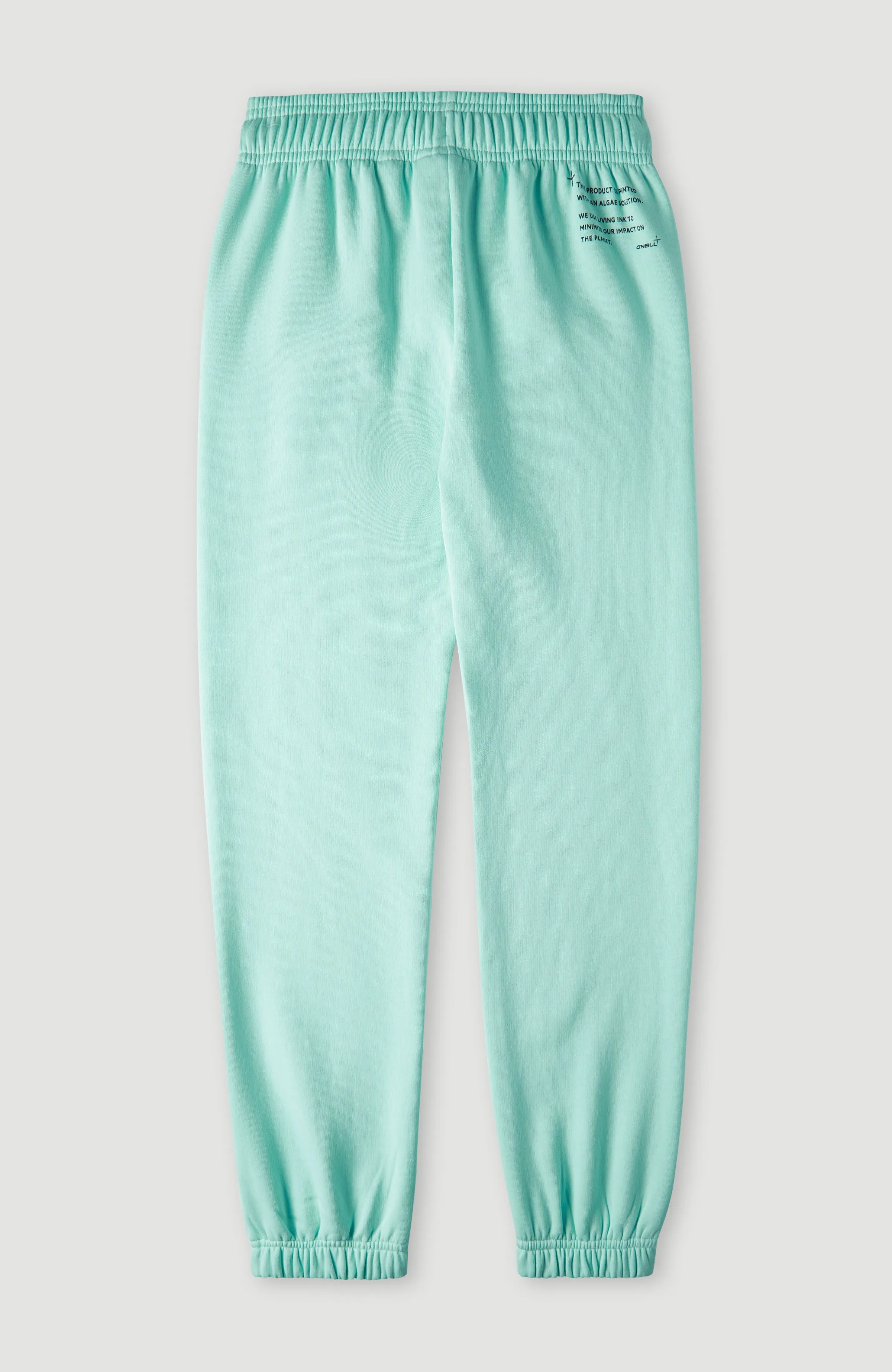 Future Surf Sweatpants | Beach Glass