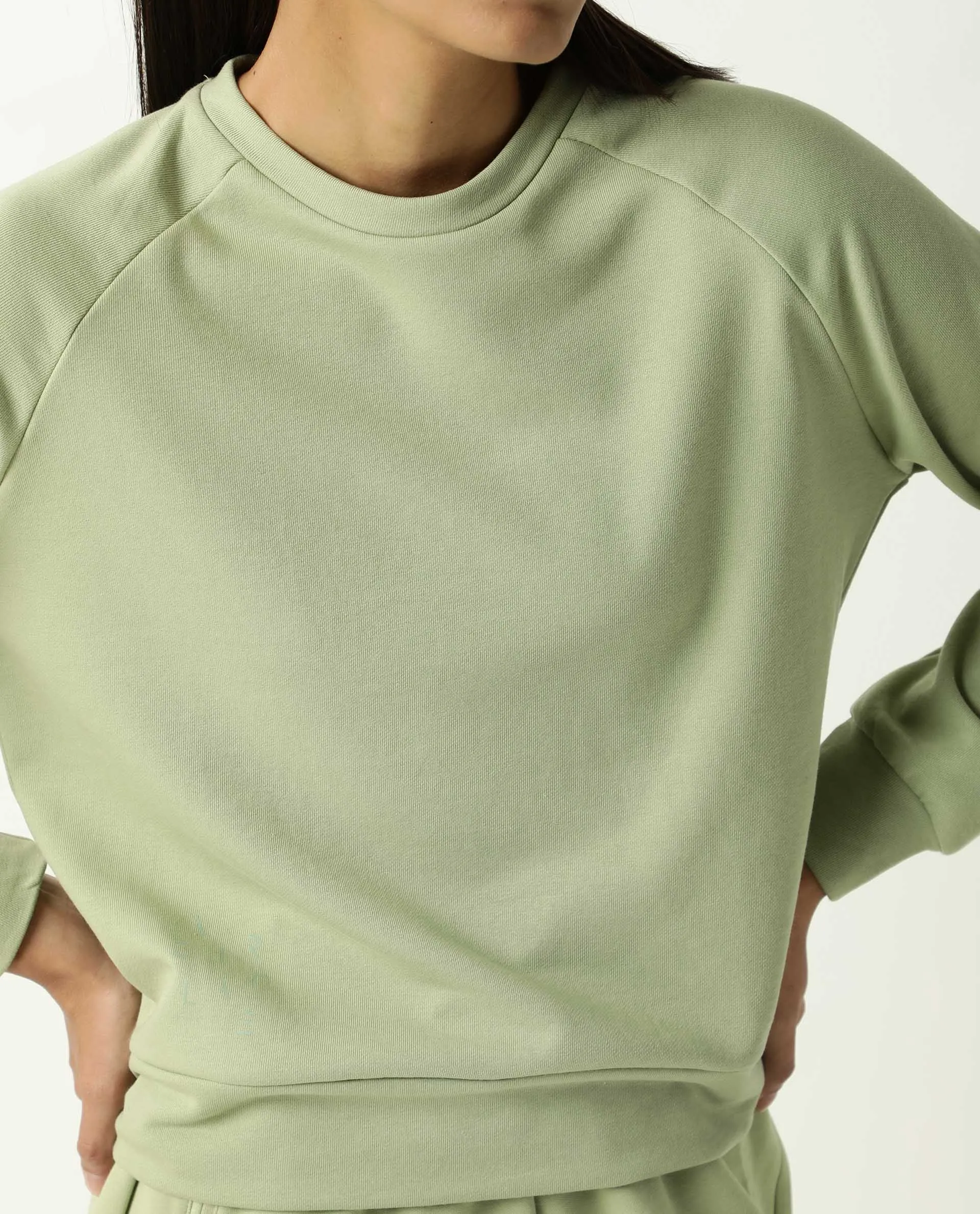 Rareism Women Cax Light Green Cotton Blend Fabric Relaxed Fit Full Sleeves Solid Round Neck Sweatshirt