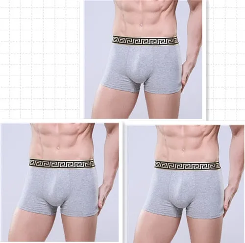 Xituodai 3pcs/lot wholesale price sexy men's underwear boxers Comfort multicolor boxers men cheap Asia size Hot sale