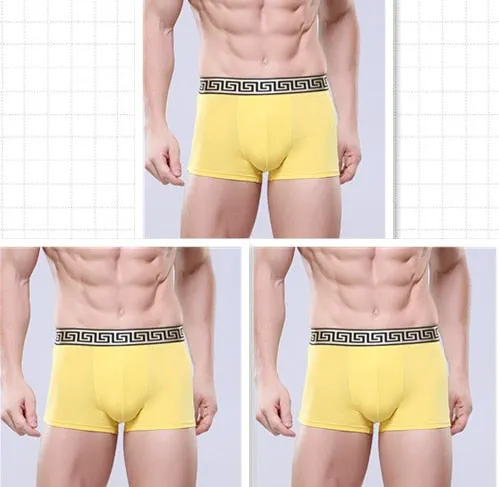 Xituodai 3pcs/lot wholesale price sexy men's underwear boxers Comfort multicolor boxers men cheap Asia size Hot sale