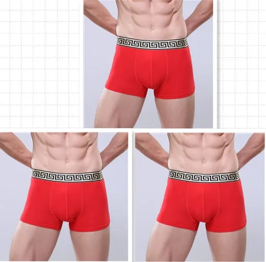 Xituodai 3pcs/lot wholesale price sexy men's underwear boxers Comfort multicolor boxers men cheap Asia size Hot sale